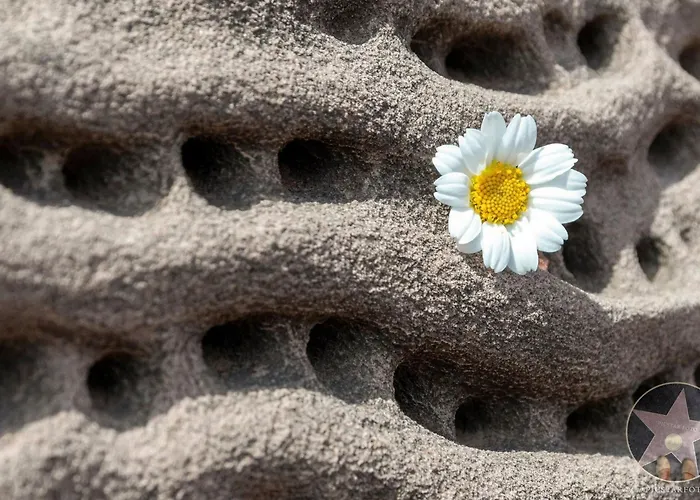 Margarita In Mit Pool Und Meerblick By Interhome