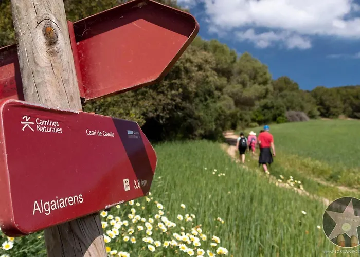 Margarita In Mit Pool Und Meerblick By Interhome Casa de Férias Son Bou